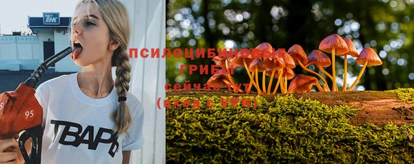 мдма Гусиноозёрск